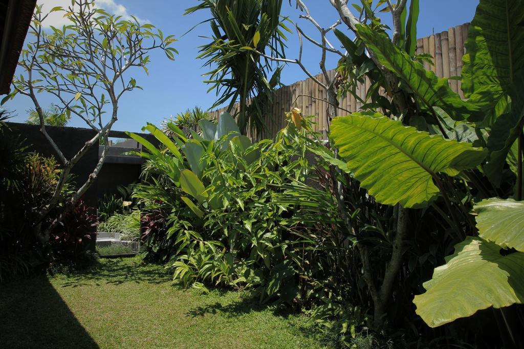 Dugul Ubud Rom bilde
