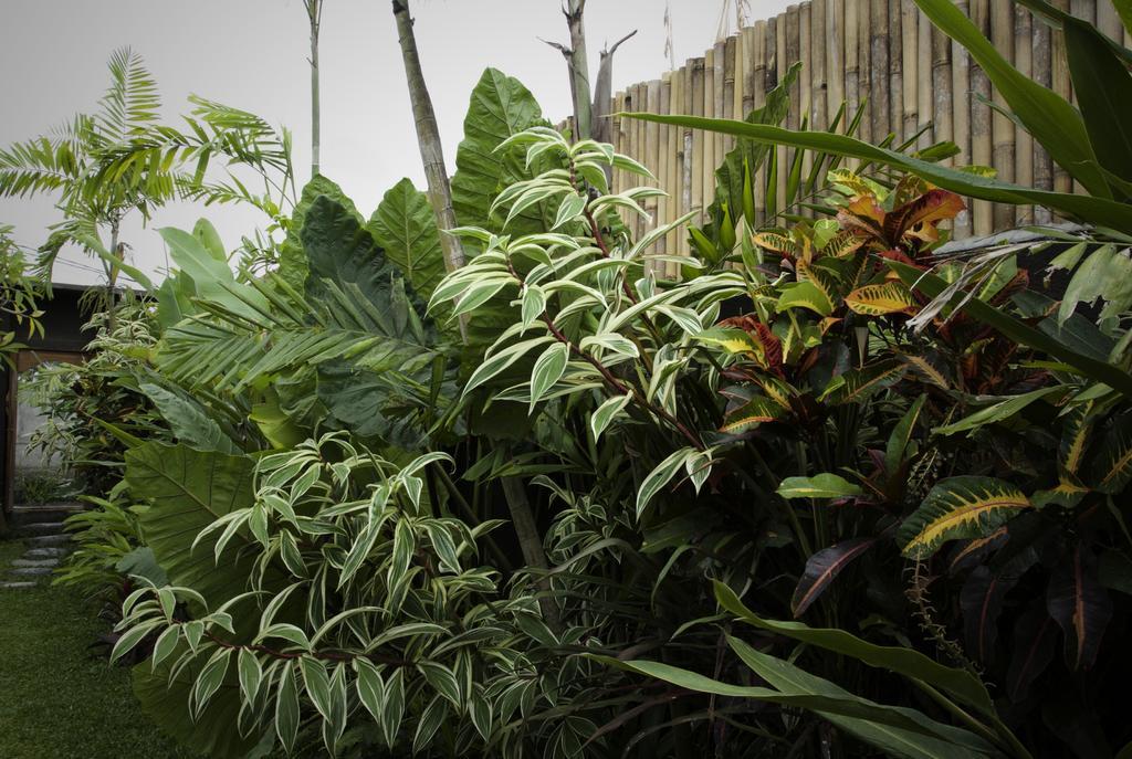 Dugul Ubud Eksteriør bilde