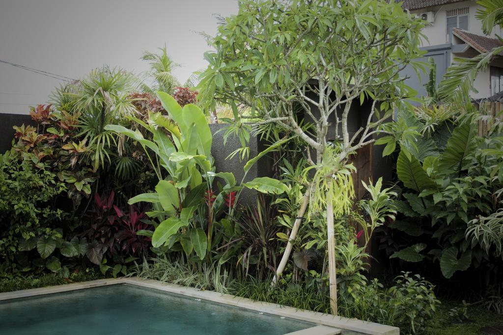 Dugul Ubud Rom bilde