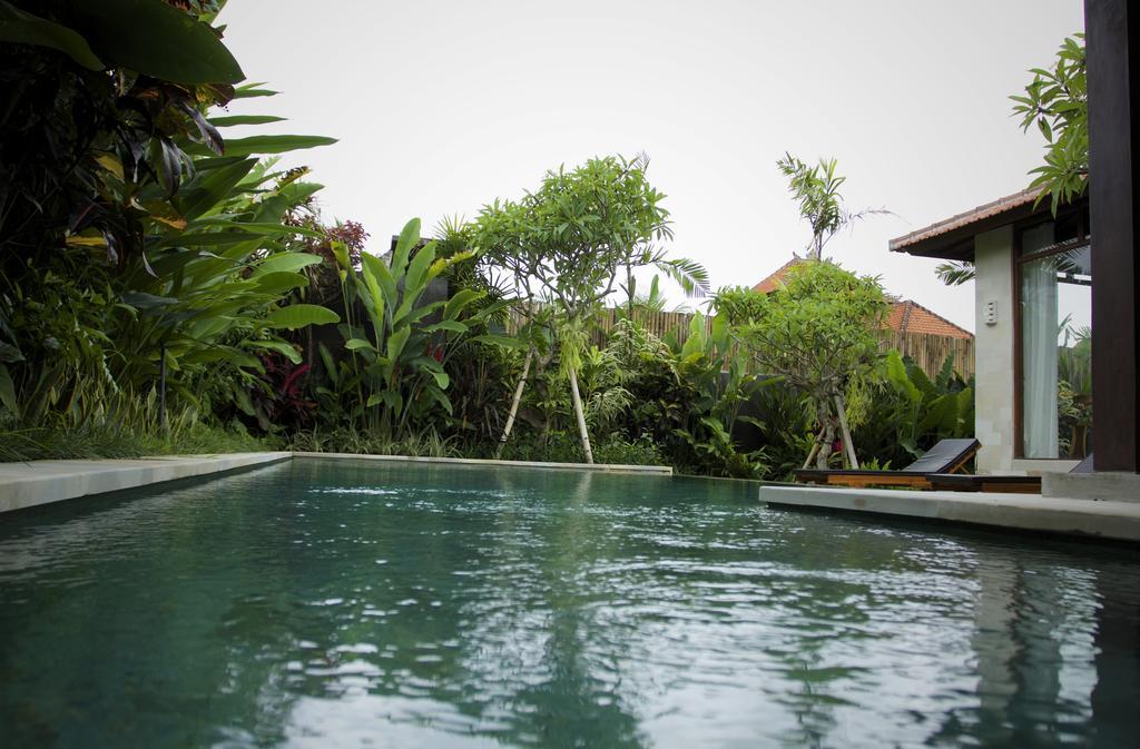 Dugul Ubud Rom bilde
